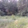 Иконка канала channel78953252