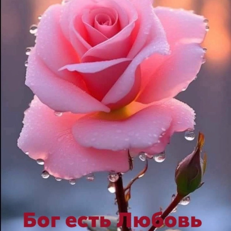 Иконка канала channel64179758
