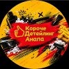 Иконка канала Короче Детейлинг в Анапе