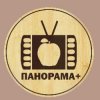 Иконка канала Студия тележурналистики "Панорама+" г. Барнаул