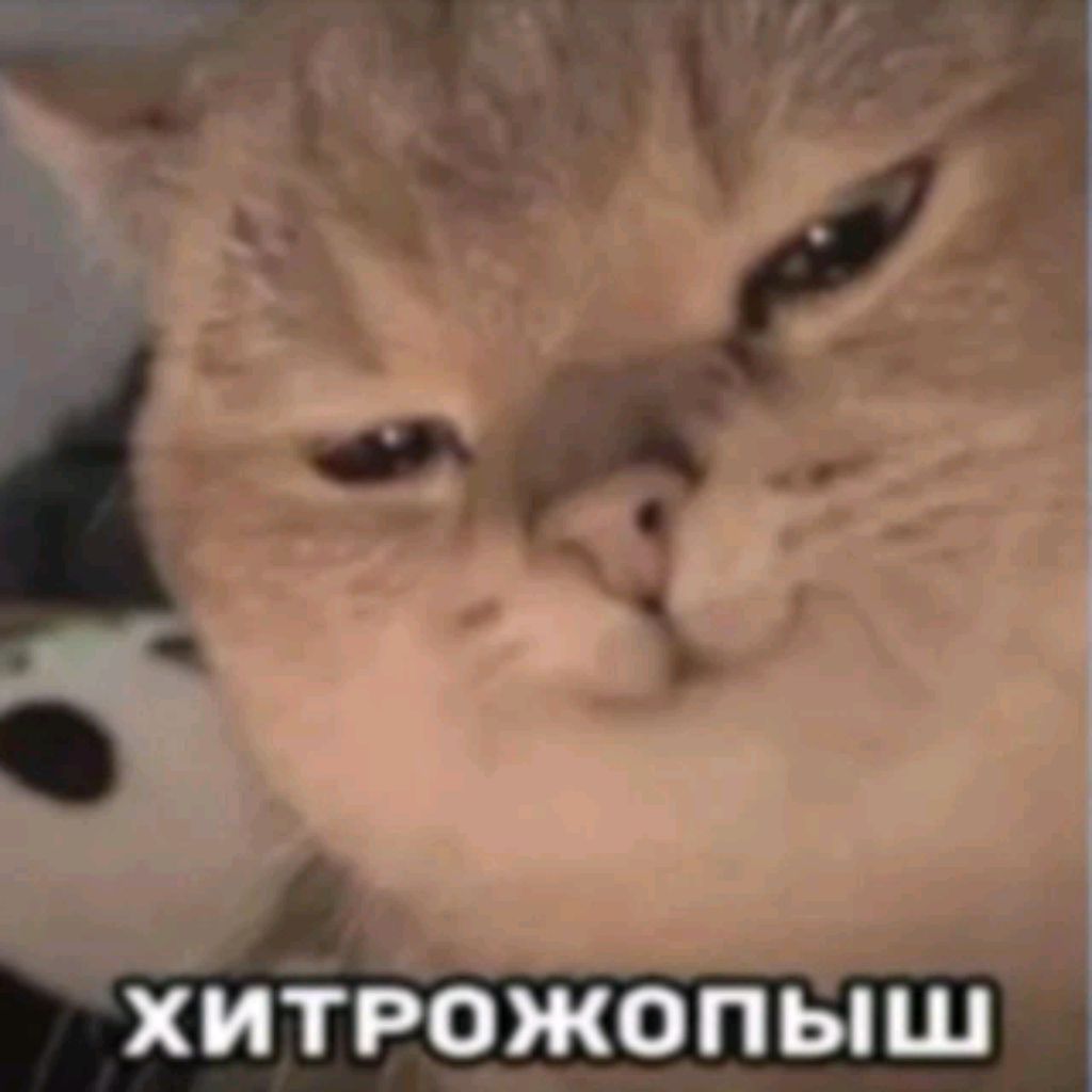 Иконка канала Mashaskacat