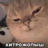 Иконка канала Mashaskacat