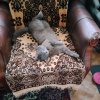 Иконка канала Денис