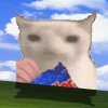 Иконка канала АлисаRT