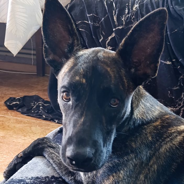 Иконка канала Цезарь и Джесси