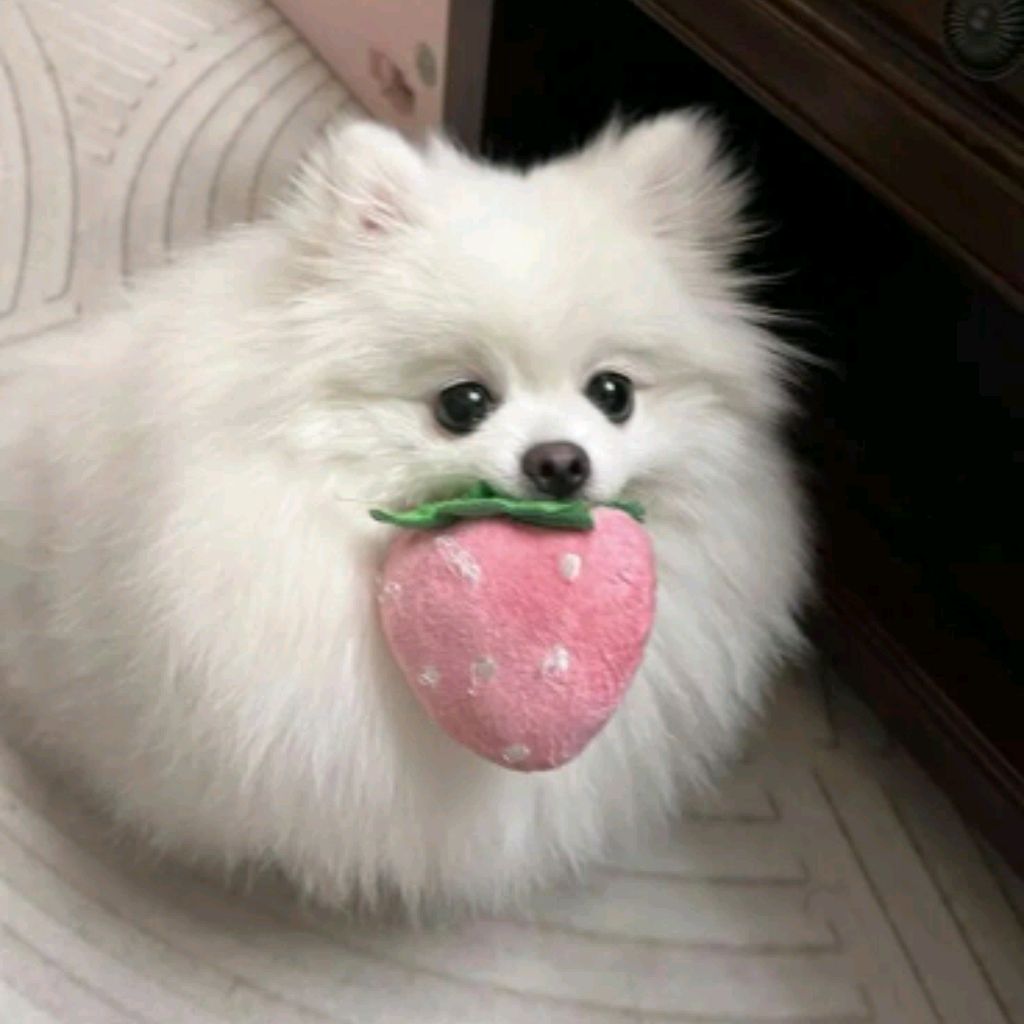 Иконка канала channel79207328