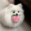 Иконка канала channel79207328