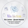 Иконка канала Via Lactea - Сувенирная продукция в Химках