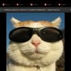 Иконка канала Кот мем