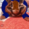Иконка канала Шлёna koT (⁠^⁠ツ^)-۝