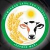 Иконка канала Первое Мая