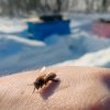 Иконка канала Семен