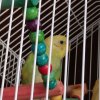 Иконка канала Крошофок
