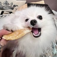 Иконка канала vedmachock