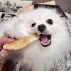 Иконка канала vedmachock