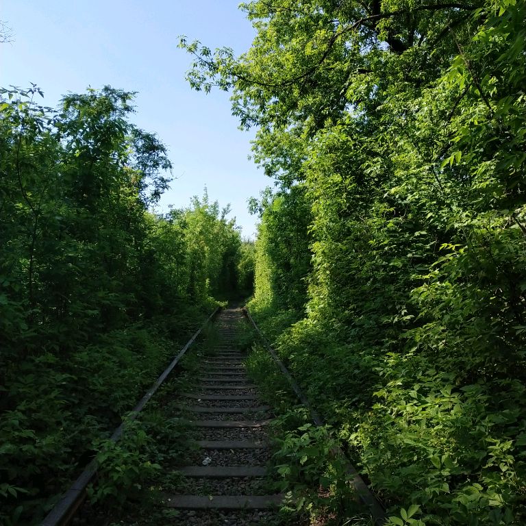 Иконка канала ⭐𝙼𝚊𝚜𝚑𝚊_𝚛𝚋𝚡🌝