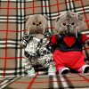 Иконка канала 🧸Bass~Family🧸