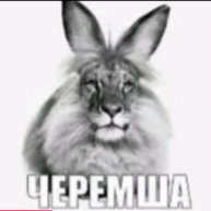 Иконка канала Мемная рутуберская Черемша Официал (Мой прайм зако