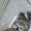 Иконка канала Артём ТВ.