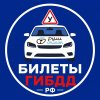 Иконка канала Разбор билетов ПДД ГИБДД РФ (категории АБСД)