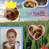 Иконка канала 🐶НАСТИК🐶