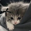 Иконка канала ましたМартина
