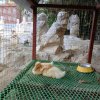 Иконка канала Светка