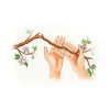 Иконка канала Ветка жизни