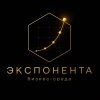 Иконка канала Экспонента