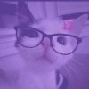 Иконка канала Coфа Cat