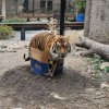 Иконка канала Перезаливы от Мириила