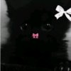 Иконка канала 🎀Котята_games 🎀