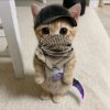 Иконка канала Ванюха