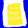 Иконка канала 🛠️ДОШИК300🛠️