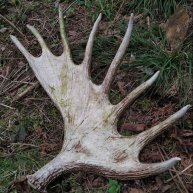Иконка канала eu.wildlife