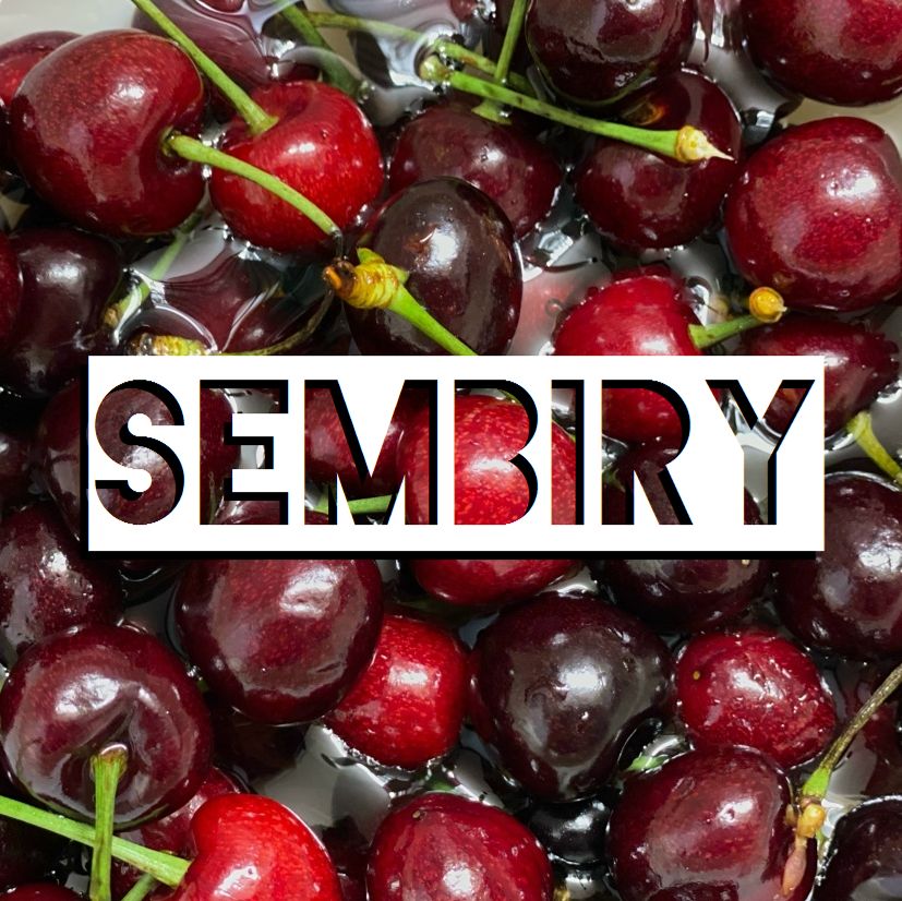 Иконка канала SEMBIRY