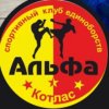 Иконка канала Папа великого Дена
