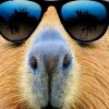 Иконка канала Серёга И Димка5