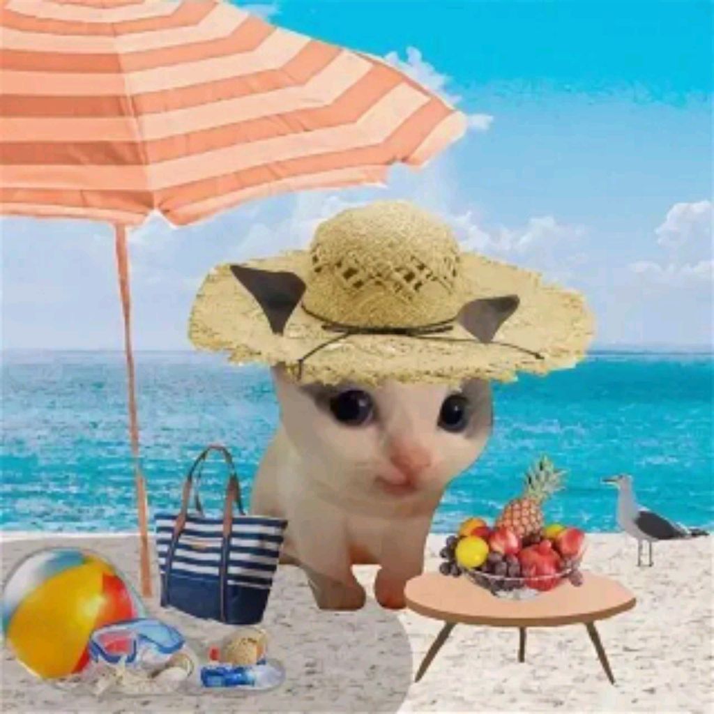 Иконка канала Вилли😽🧡