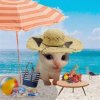 Иконка канала Вилли😽🧡