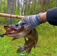 Иконка канала За жили-были78rus