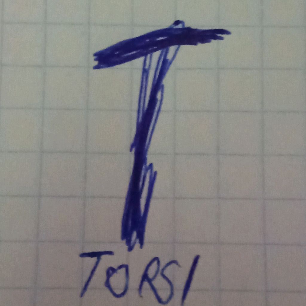 Иконка канала Торси/Шоу Тв