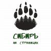 Иконка канала Сибирь на страницах