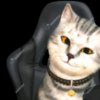 Иконка канала Котик Космас