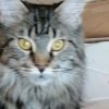 Иконка канала ВАнюха 979797