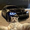 Иконка канала channel54310127