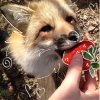Иконка канала 🍓mashka_off🍓