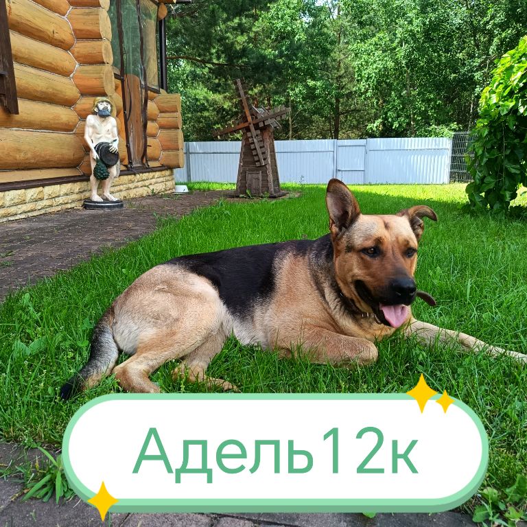 Иконка канала Адель12к ✔️