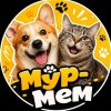 Иконка канала "Мур-Мем"