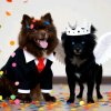 Иконка канала Великая Юкиша 1-ая🐺🔥❤️